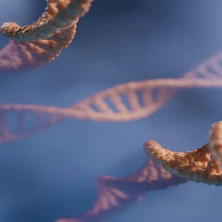 Ateliers médiations