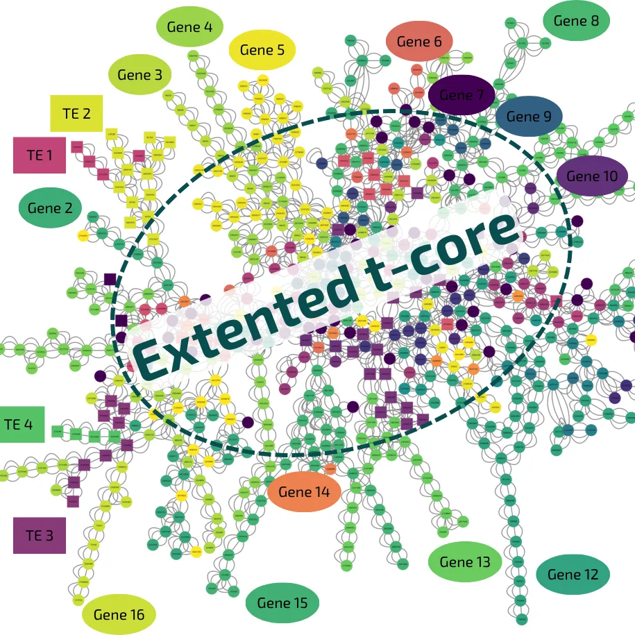 Ateliers médiations